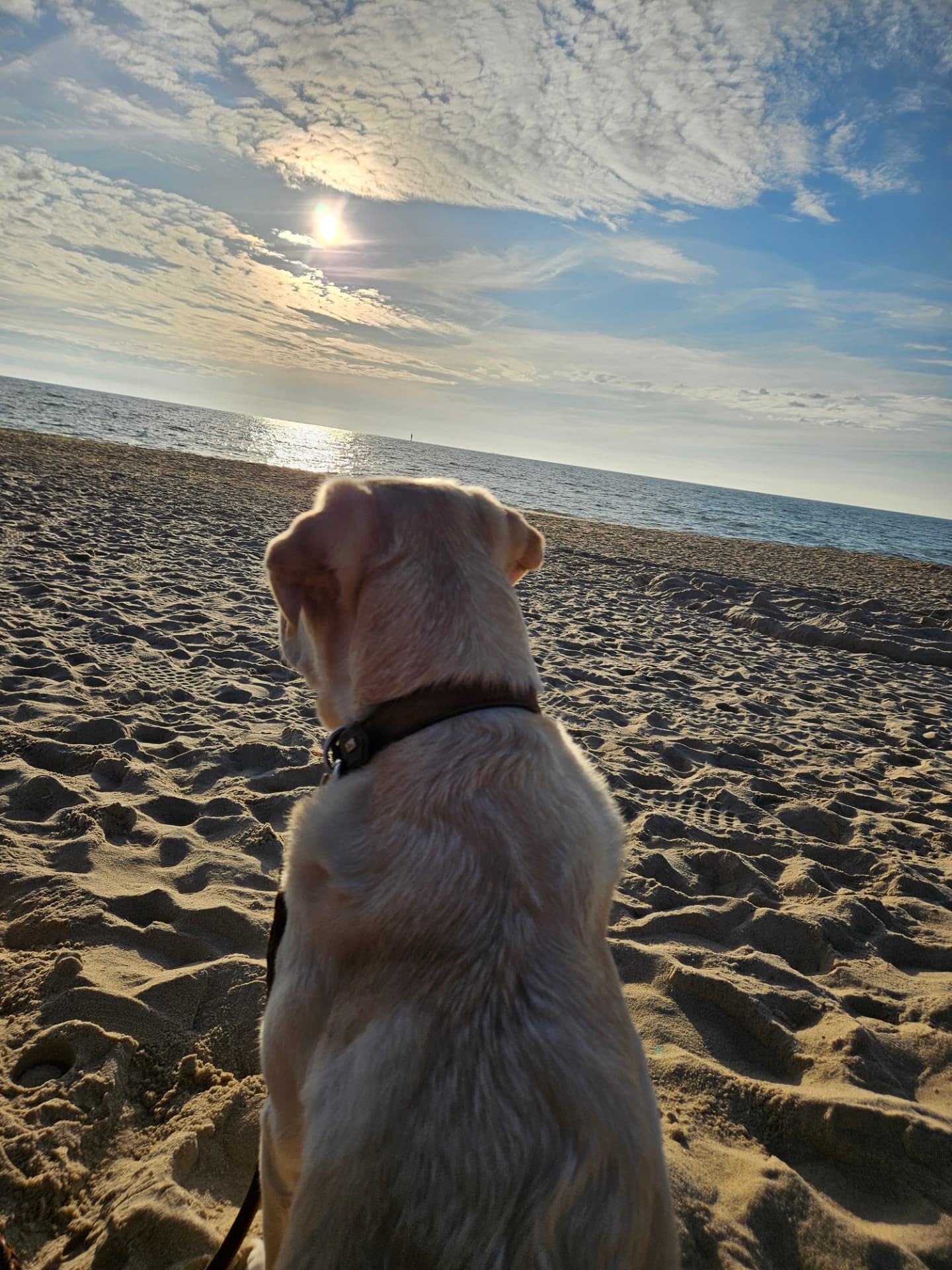 Nahla am Meer auf Sylt